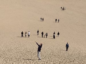 IMG_20230329_140128715-300x225